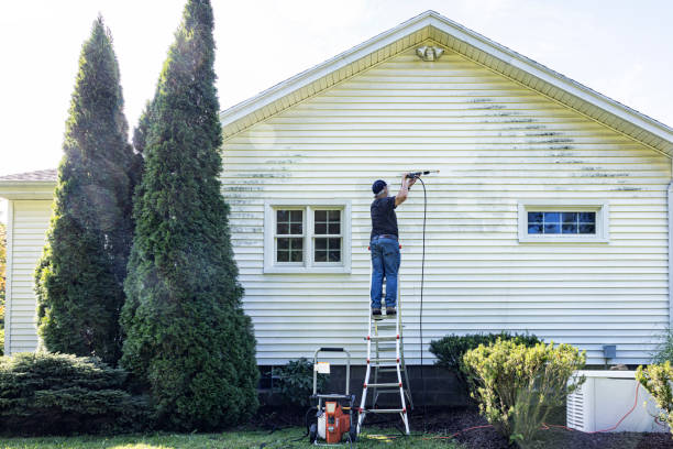 Best Local Pressure Washing Services  in Percy, IL
