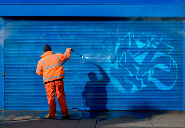 Best Garage Pressure Washing  in Percy, IL