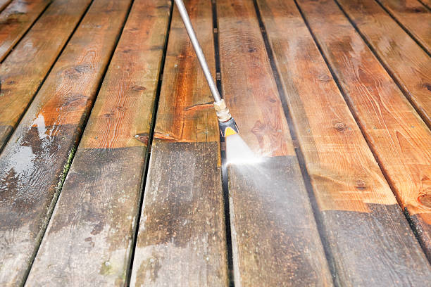 Best Best Pressure Washing Companies  in Percy, IL