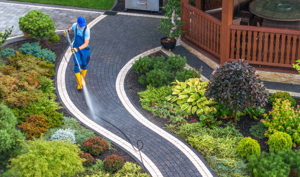 Best Sidewalk Pressure Washing  in Percy, IL