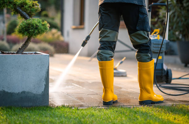 Best Pressure Washing Siding  in Percy, IL